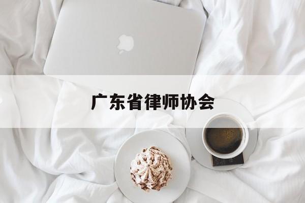 广东省律师协会(广东省律师协会官网网址)